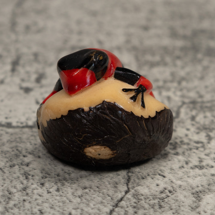 Vintage Red And Black Poison Dart Frog Tagua Carving