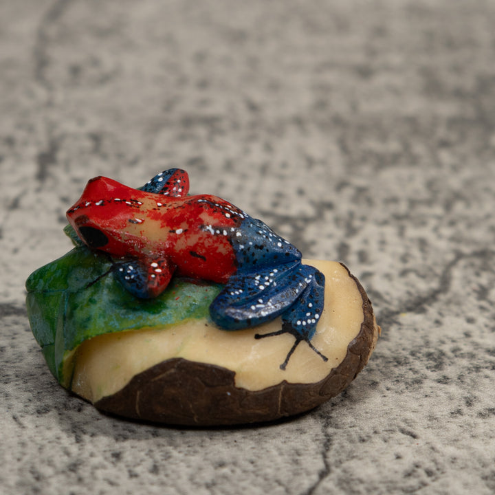Red And Blue Poison Dart Frog Tagua Carving