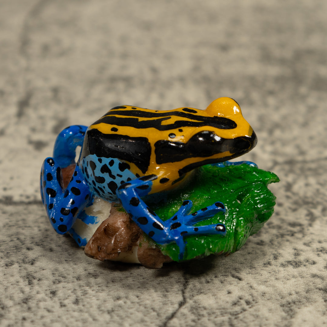 Blue Golden And Black Poison Dart Frog Tagua Carving