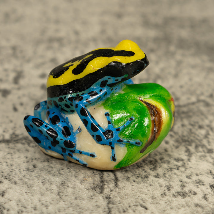 Black Yellow And Blue Poison Dart Frog Tagua Carving