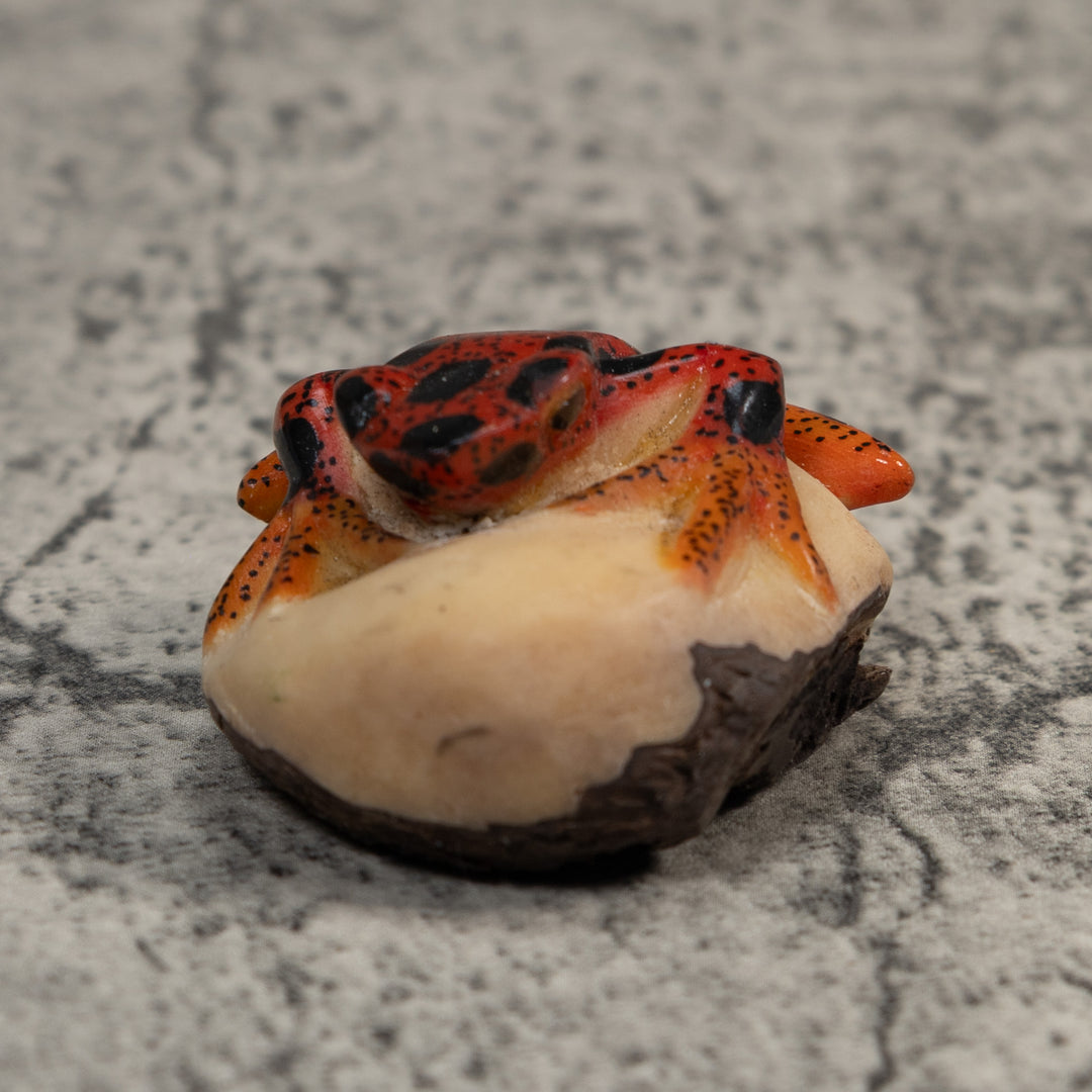 Vintage Red And Black Poison Dart Frog Tagua Carving
