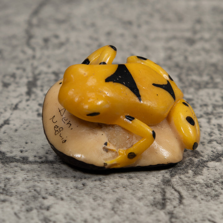 Vintage Gold And Black Frog Tagua Carving