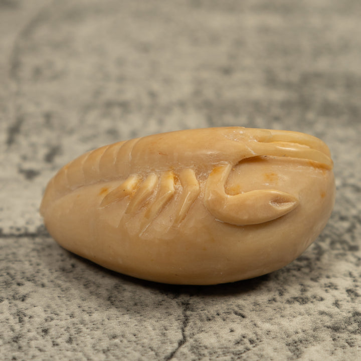 Vintage White Shrimp Tagua Carving