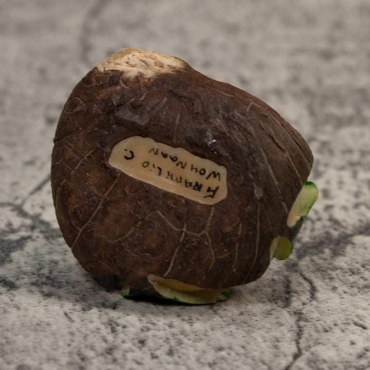 Red And Blue Poison Dart Frog Tagua Carving