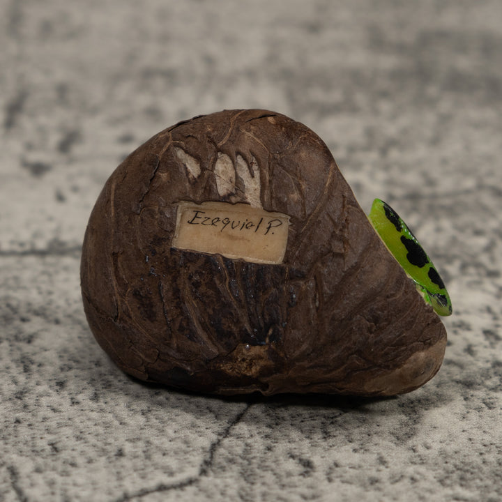 Poison Dart Frog Tagua Carving