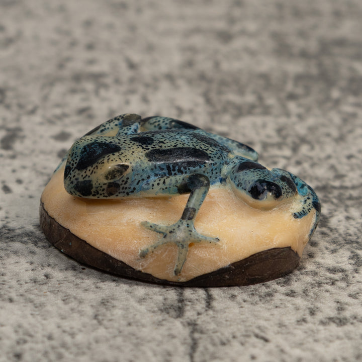 Vintage Blue And Black Poison Dart Frog Tagua Carving