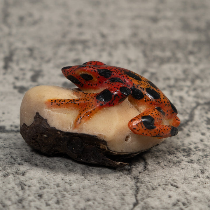 Vintage Red And Black Poison Dart Frog Tagua Carving