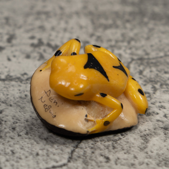 Vintage Gold And Black Frog Tagua Carving