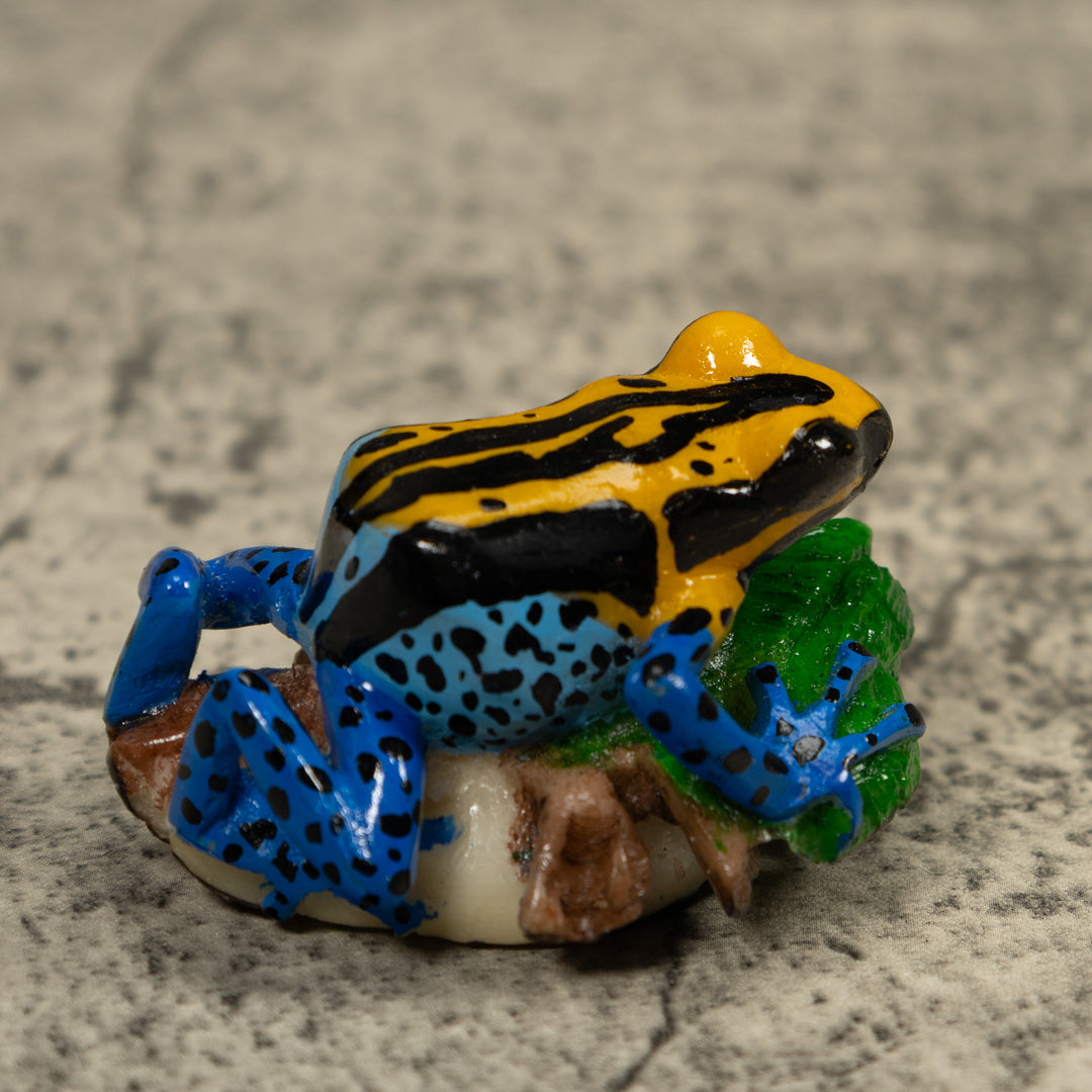 Blue Golden And Black Poison Dart Frog Tagua Carving