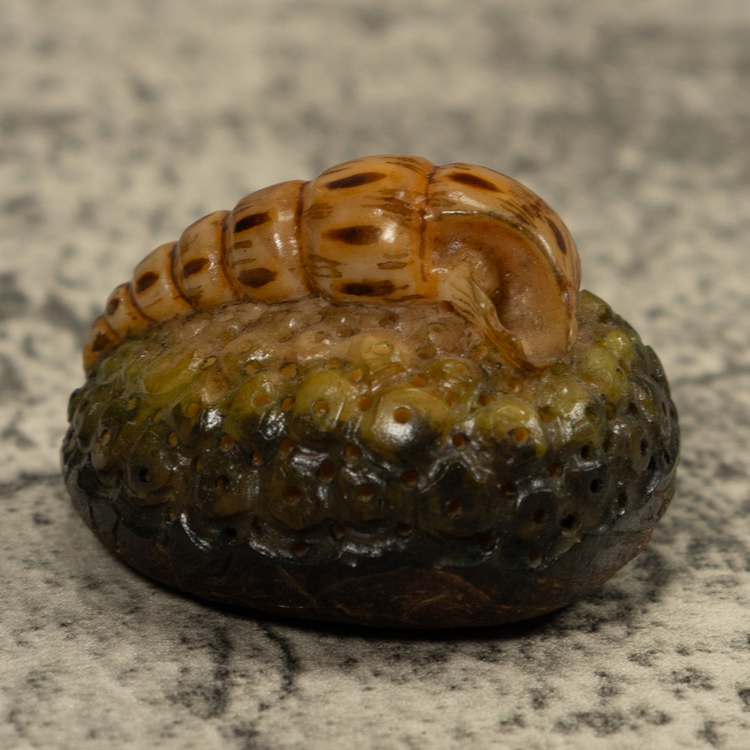 Catapillar Tagua Carving