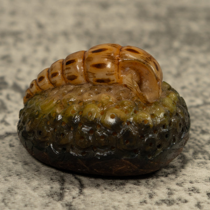 Catapillar Tagua Carving