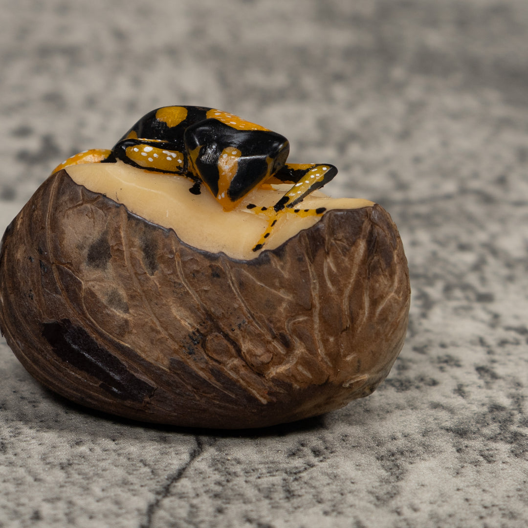 Gold White And Black Frog Tagua Carving