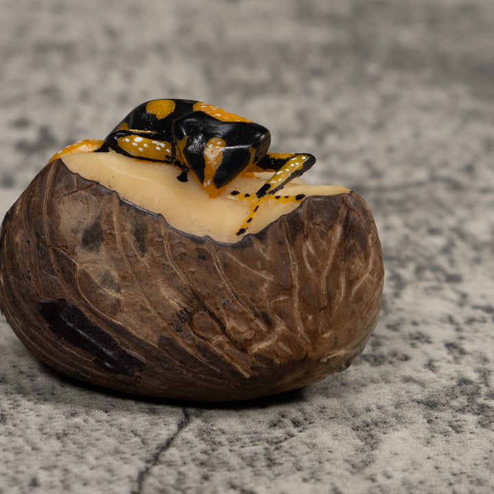 Gold White And Black Frog Tagua Carving
