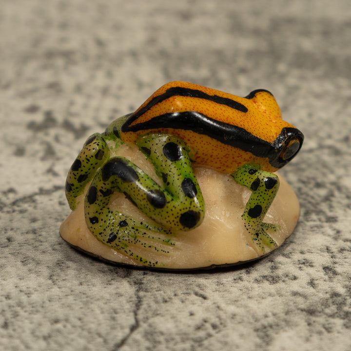 Poison Dart FrogTagua Carving