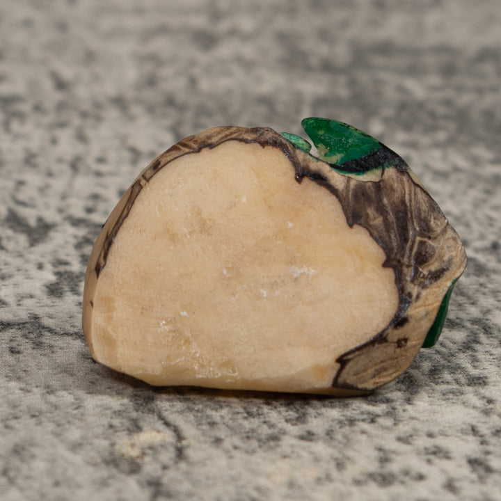 Vintage Green And Black Frog Tagua Carving
