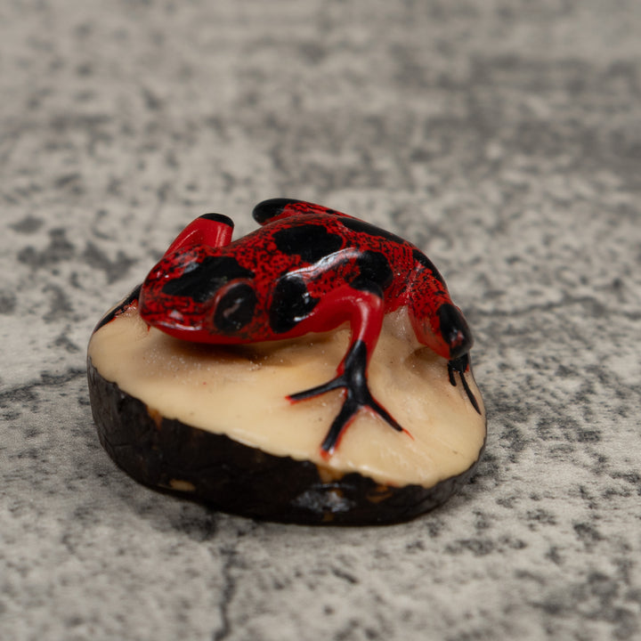 Vintage Poison Dart Frog Tagua Carving
