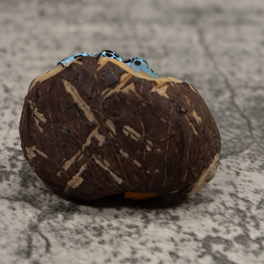 Double Poison Dart Frog Tagua Carving