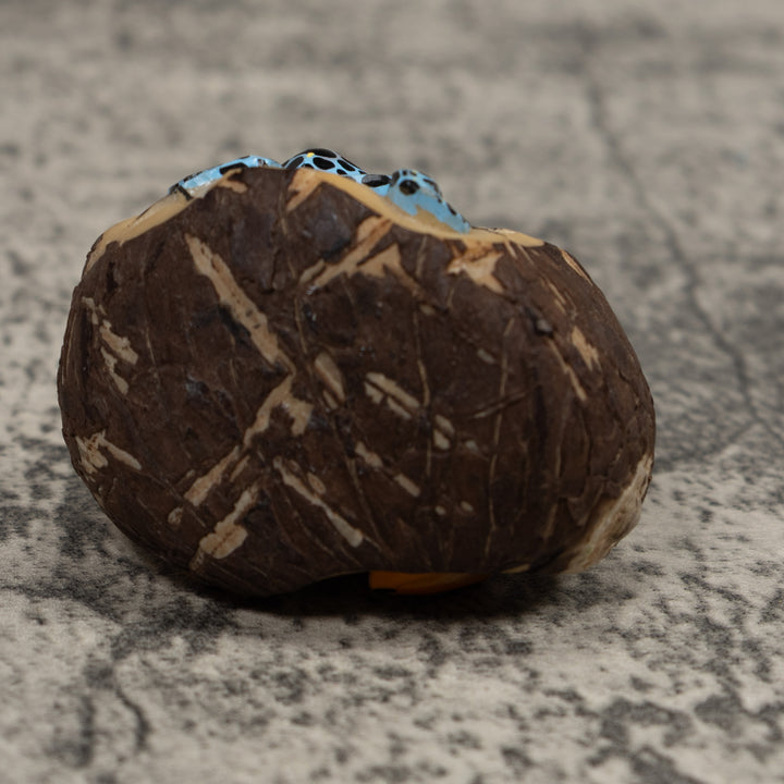 Double Poison Dart Frog Tagua Carving