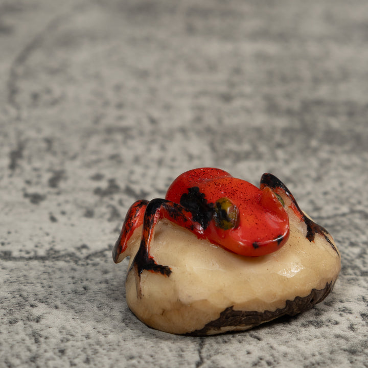 Vintage Red And Black Poison Dart Frog Tagua Carving