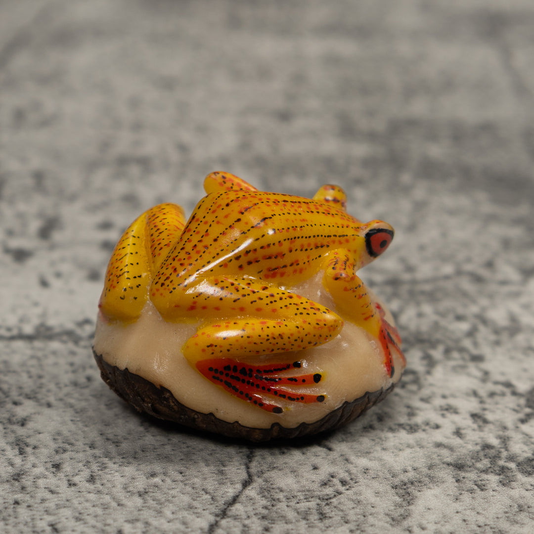 Vintage Gold Red And Black Frog Tagua Carving
