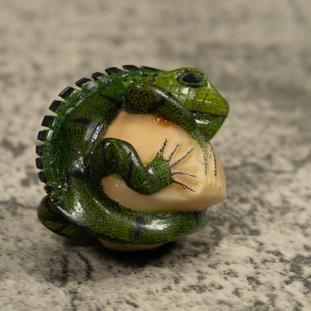 Iguana Lizard Reptile Tagua Carving