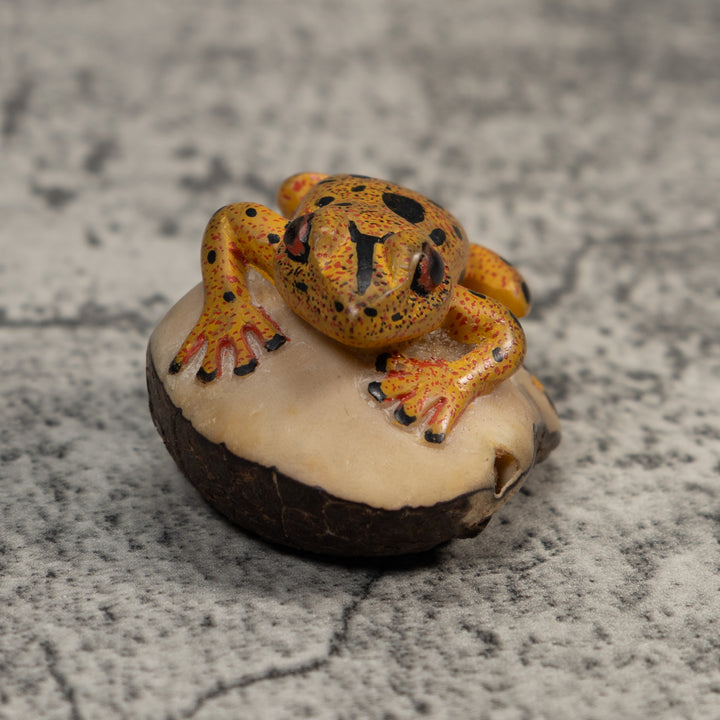 Gold And Black Poison Dart Frog Tagua Carving
