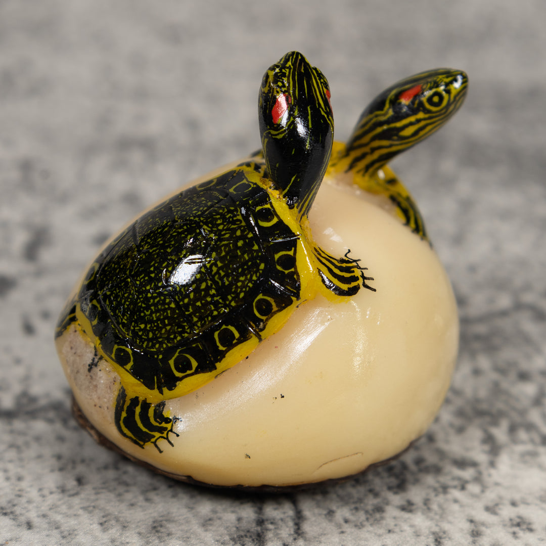 Double (2) Tortoise Turtle Tagua Carving