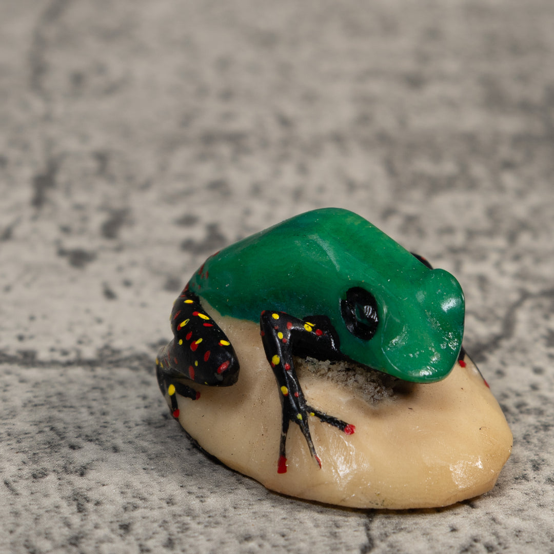 Vintage Green And Black Poison Dart Frog Tagua Carving