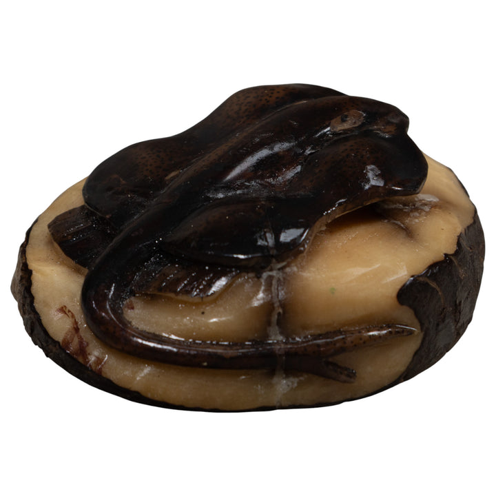 Vintage Stingray Tagua Carving