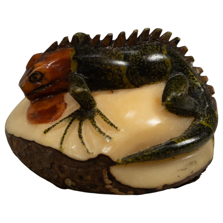 Iguana Lizard Reptile Tagua Carving