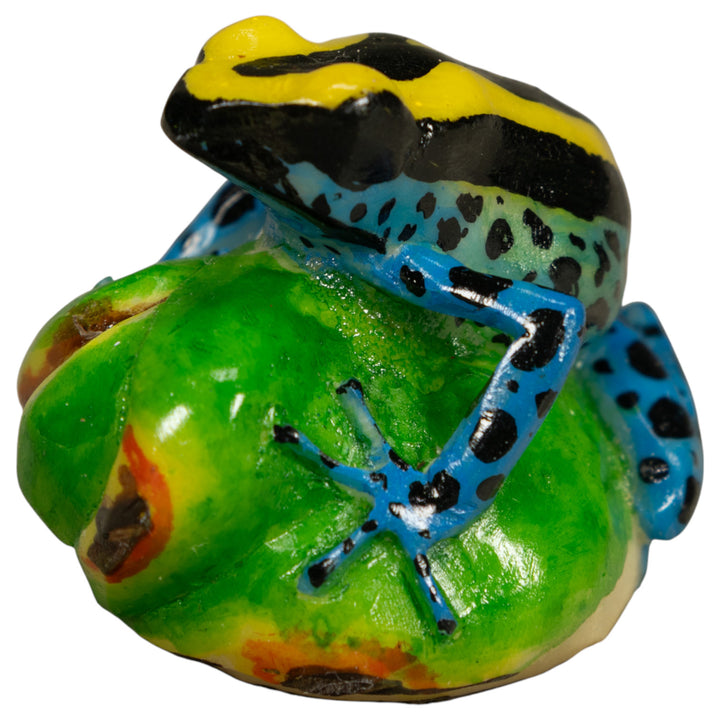 Black Yellow And Blue Poison Dart Frog Tagua Carving