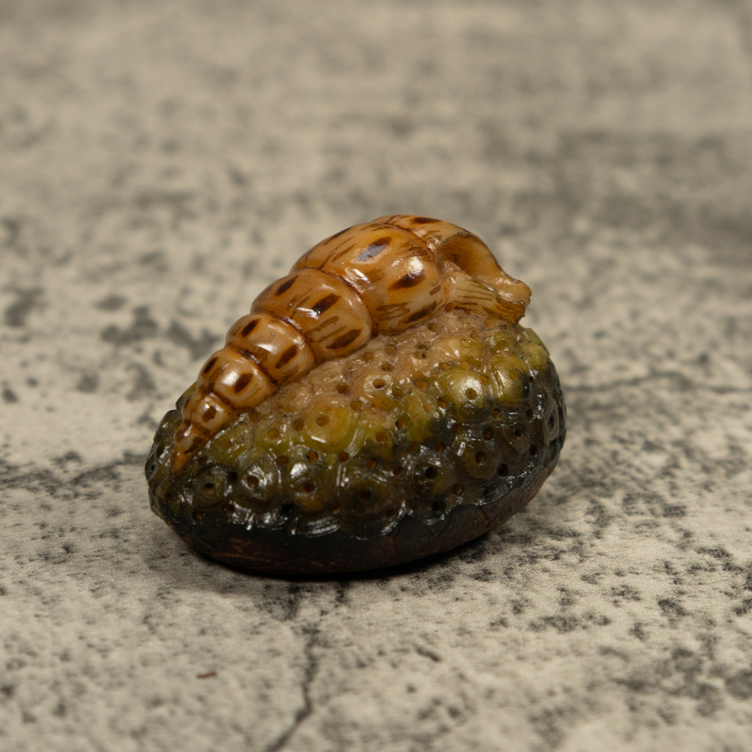 Catapillar Tagua Carving