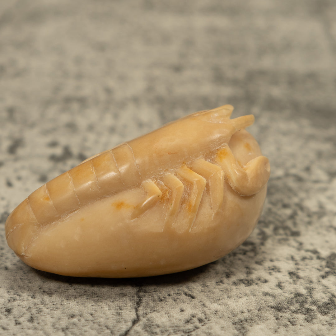 Vintage White Shrimp Tagua Carving