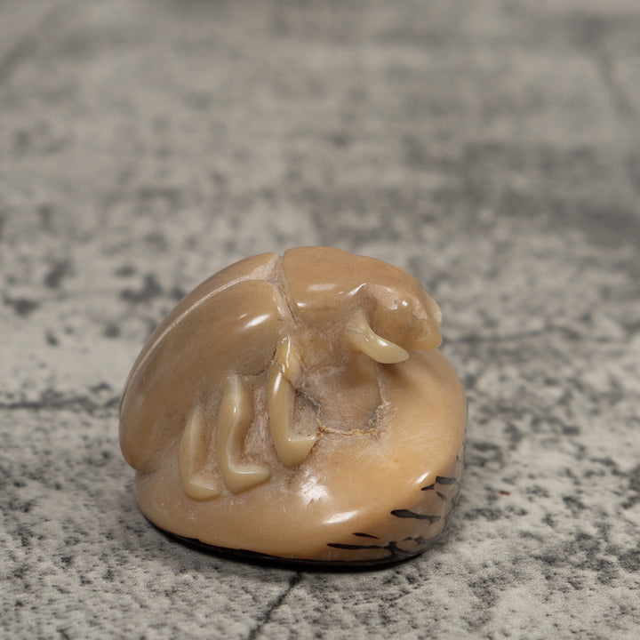 Vintage White Natural Insect Tagua Carving