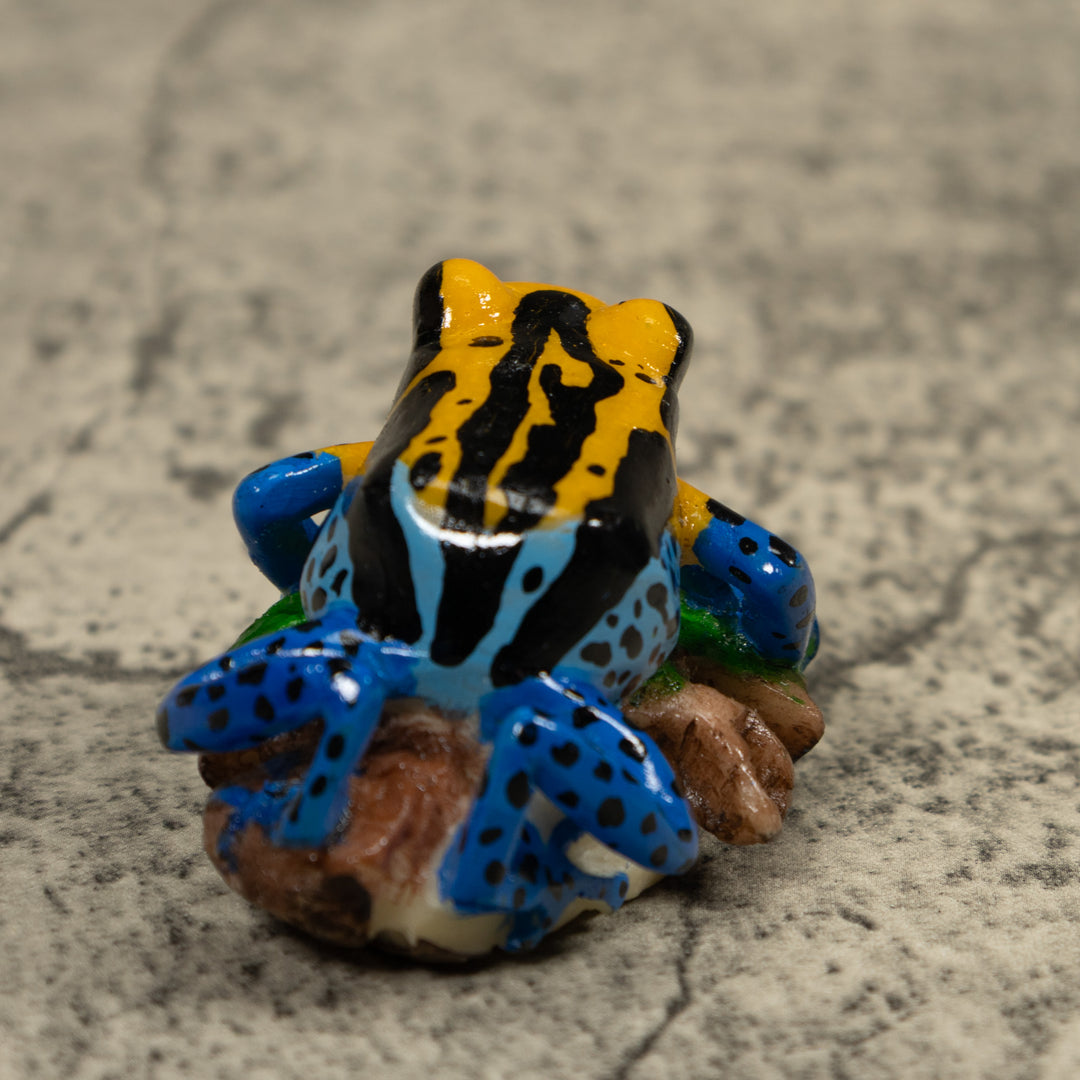 Blue Golden And Black Poison Dart Frog Tagua Carving