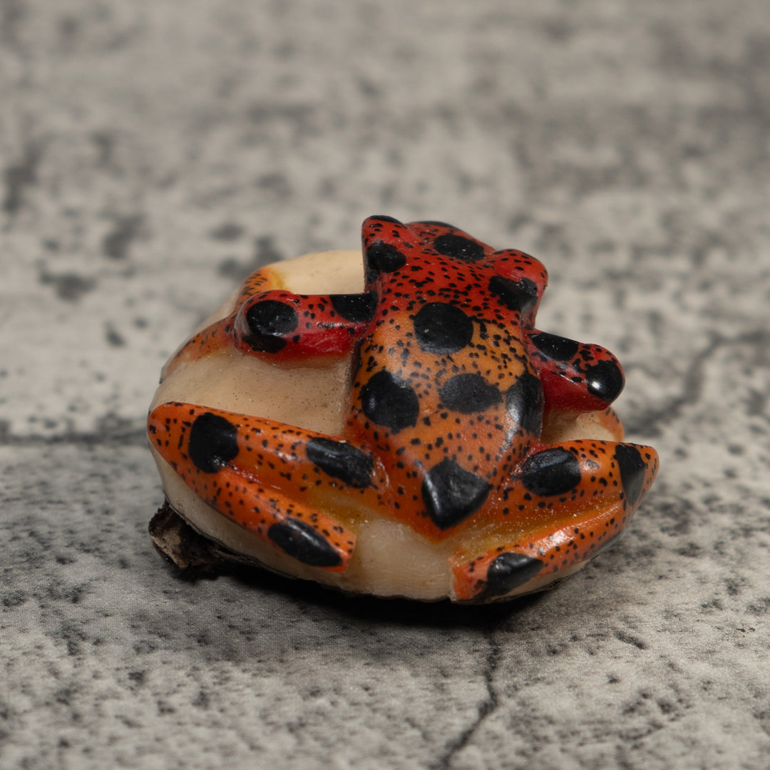 Vintage Red And Black Poison Dart Frog Tagua Carving
