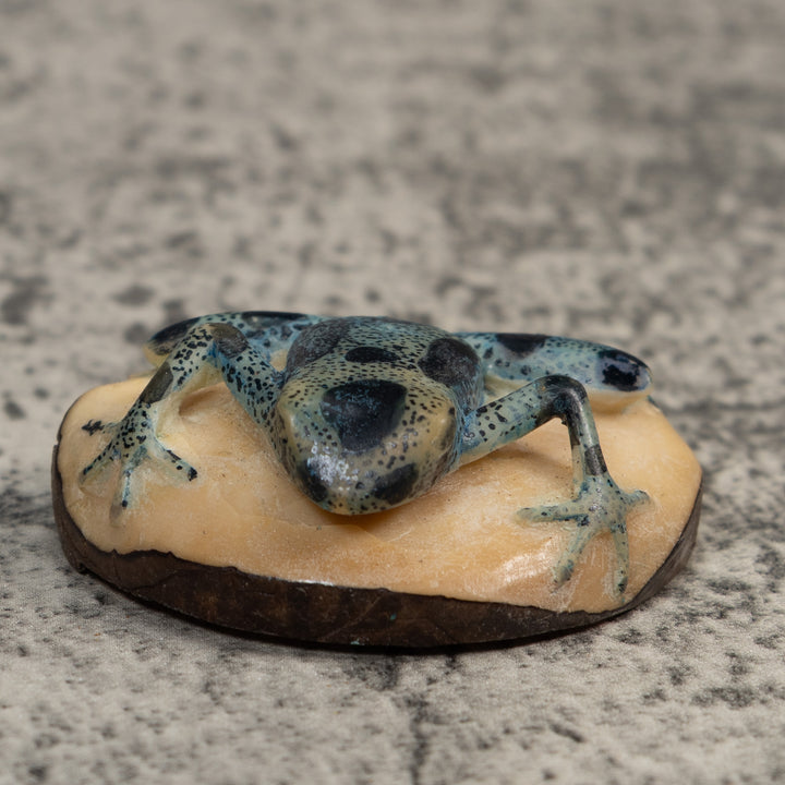 Vintage Blue And Black Poison Dart Frog Tagua Carving