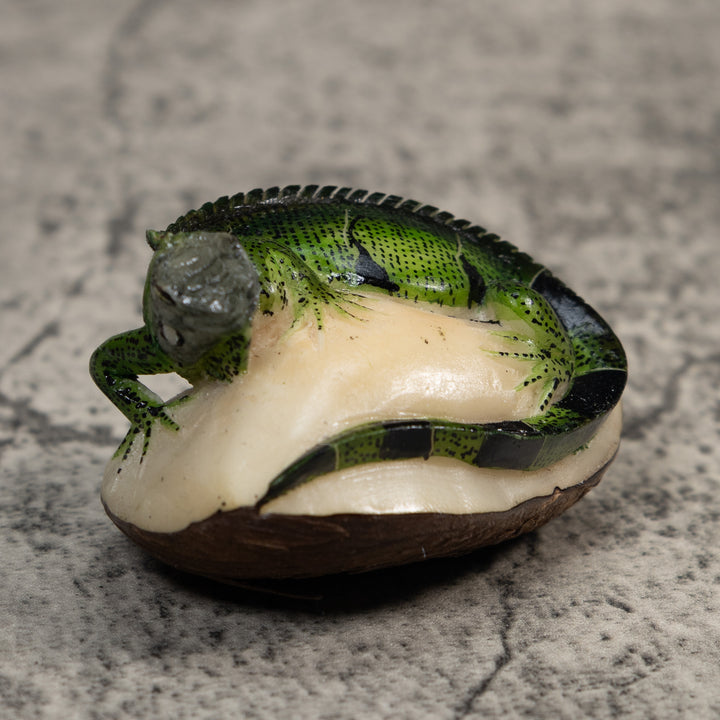 Green And Black Iguana Lizard Tagua Carving