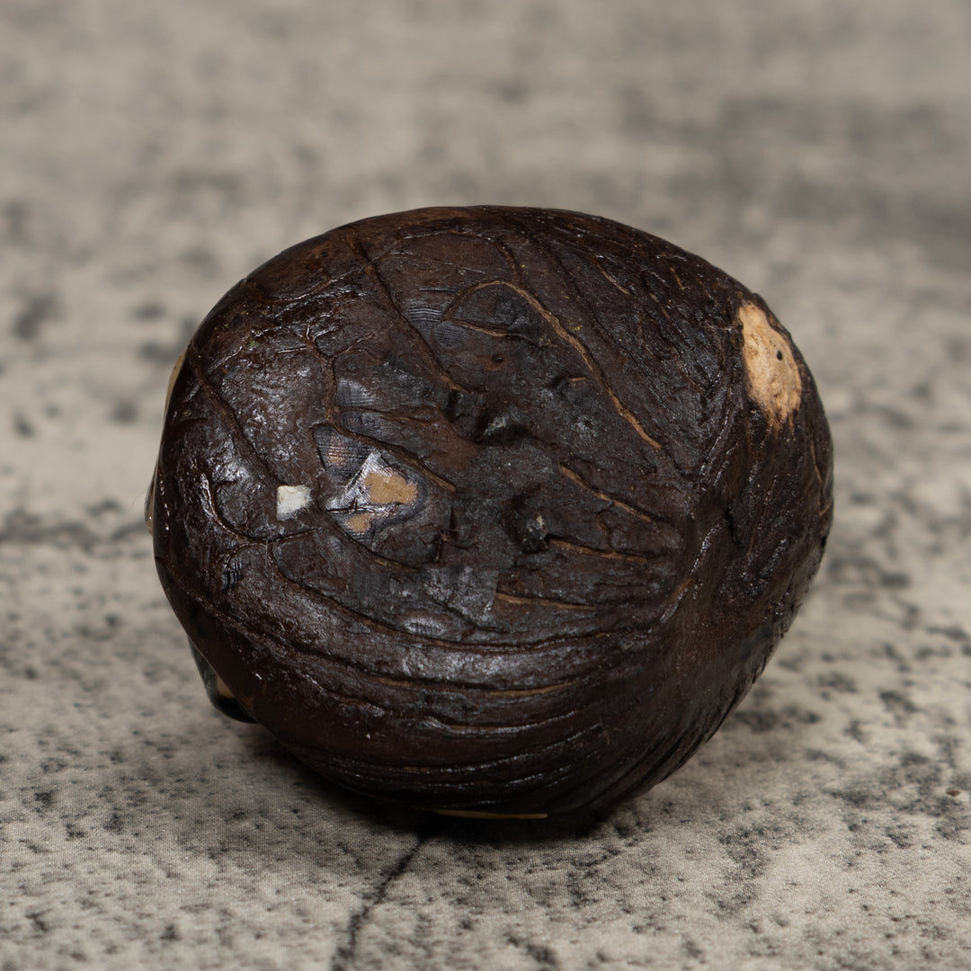 Vintage Red And Black Poison Dart Frog Tagua Carving