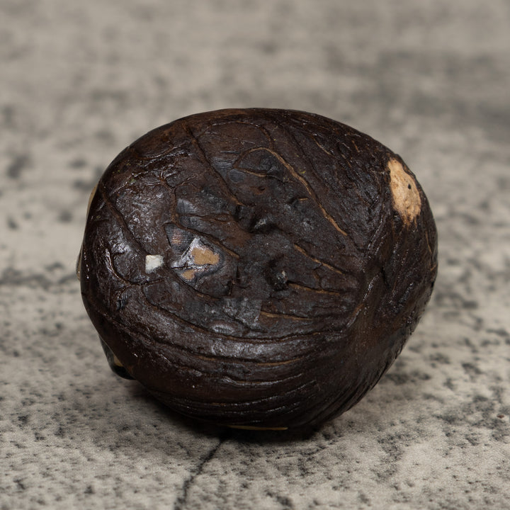 Vintage Red And Black Poison Dart Frog Tagua Carving