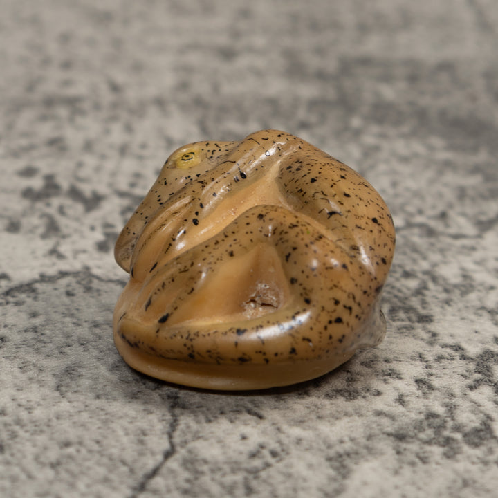 Vintage Gecko Lizard Reptile Tagua Carving