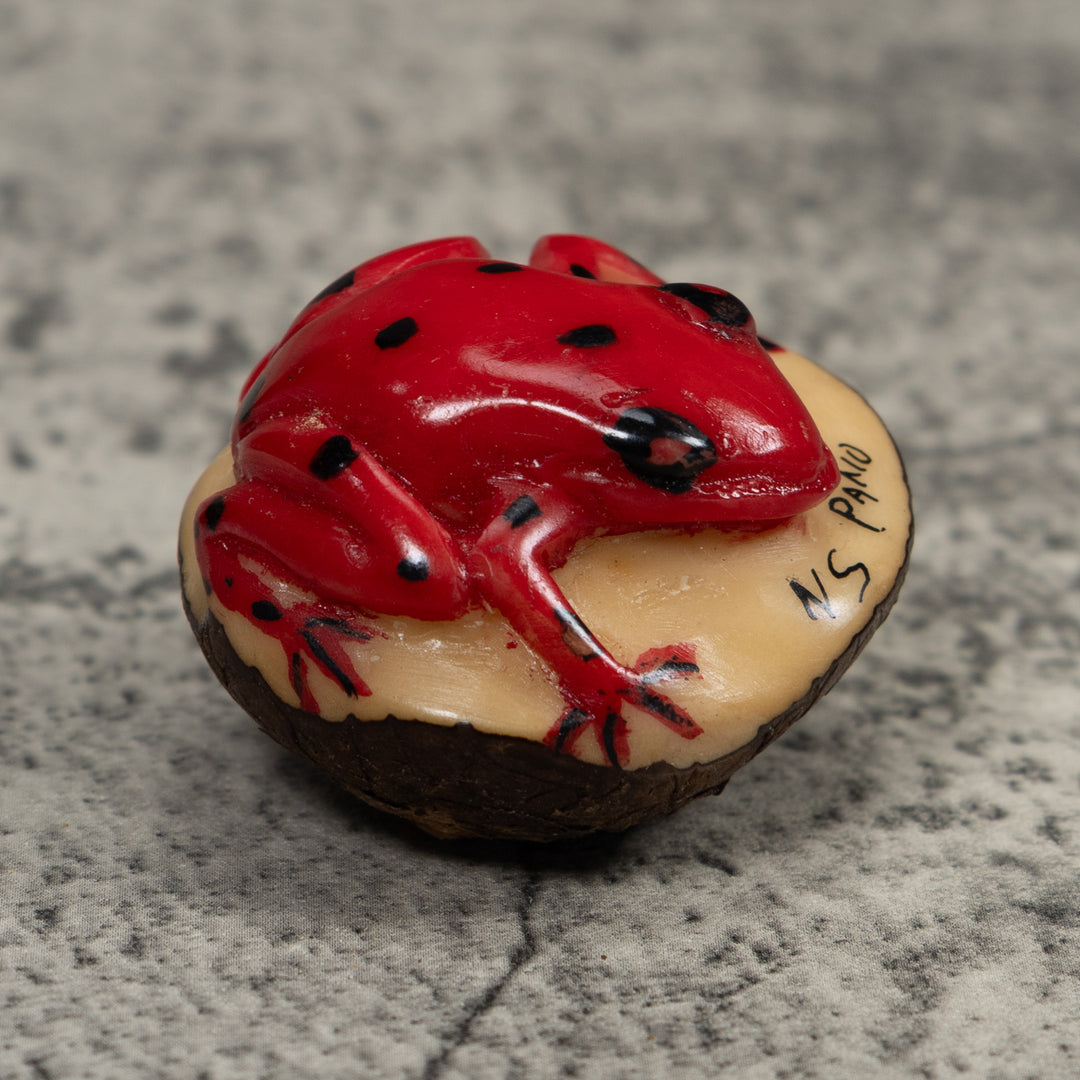 Poison Dart Frog Tagua Carving