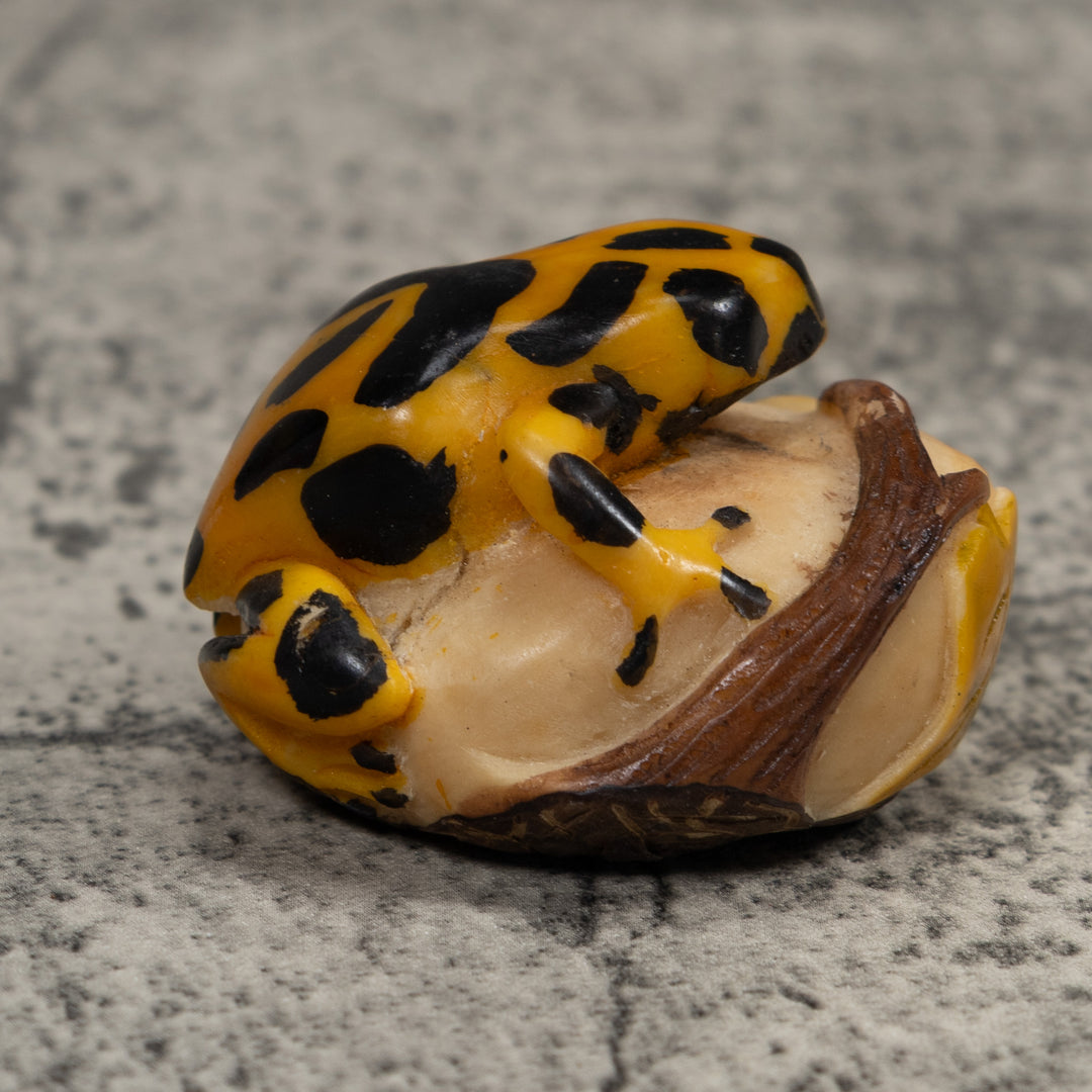 Black And Gold Frog Tagua Carving