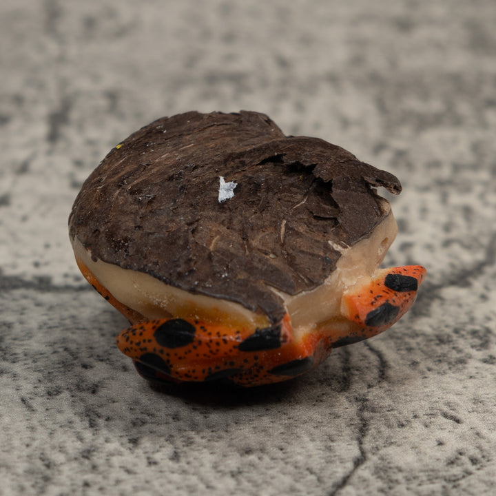 Vintage Red And Black Poison Dart Frog Tagua Carving