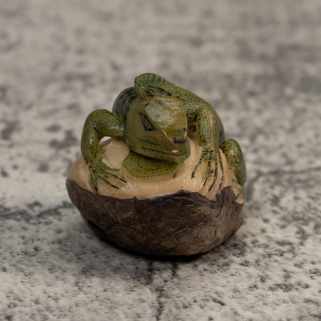 Green And Black Iguana Lizard Tagua Carving