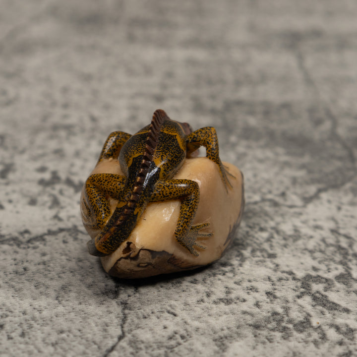 Iguana Lizard Reptile Tagua Carving