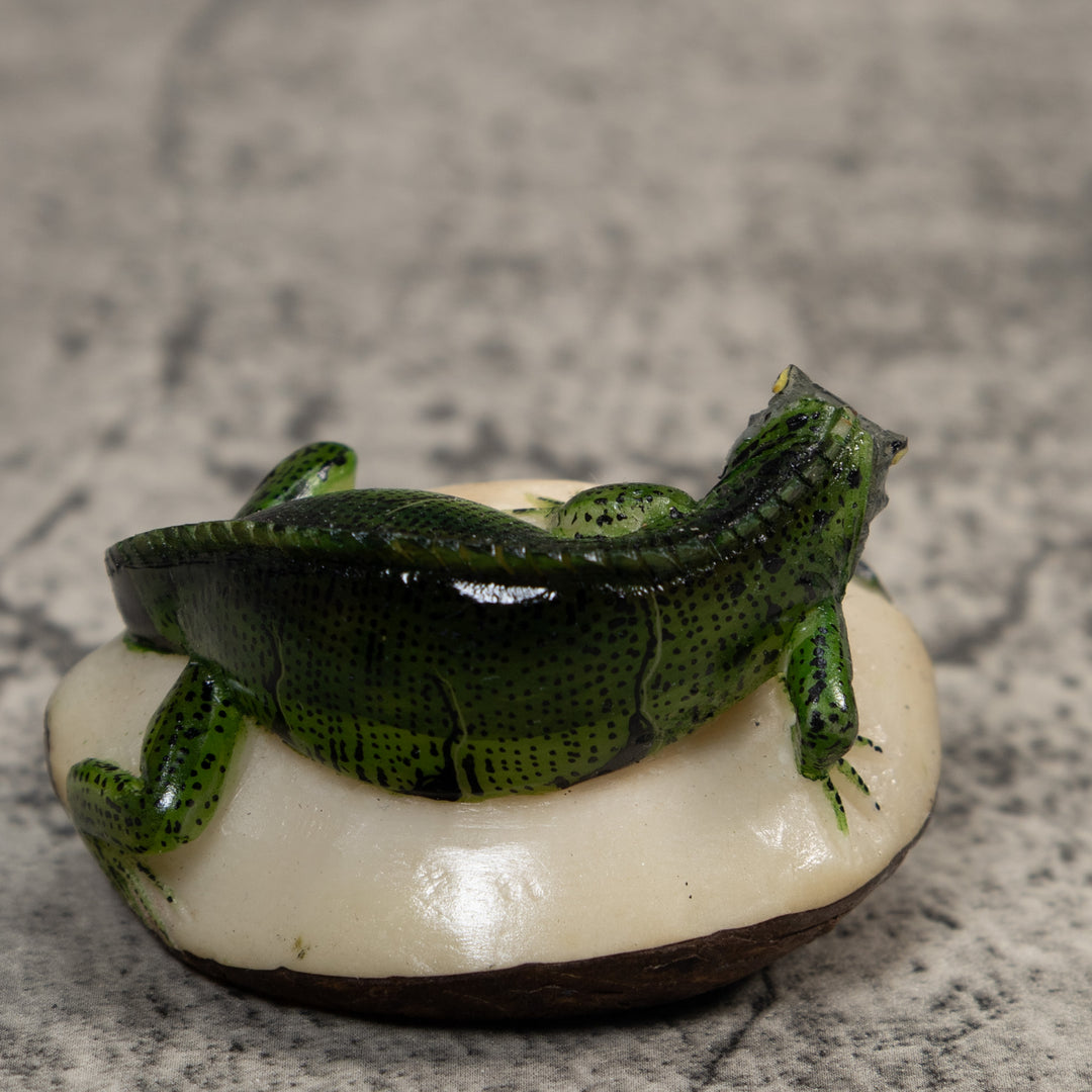 Green And Black Iguana Lizard Tagua Carving