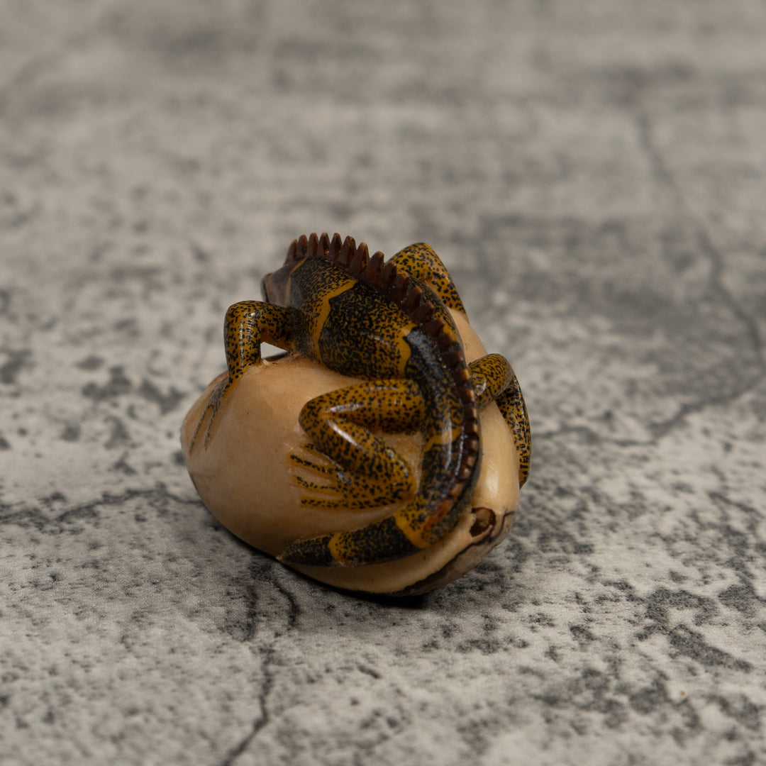 Iguana Lizard Reptile Tagua Carving