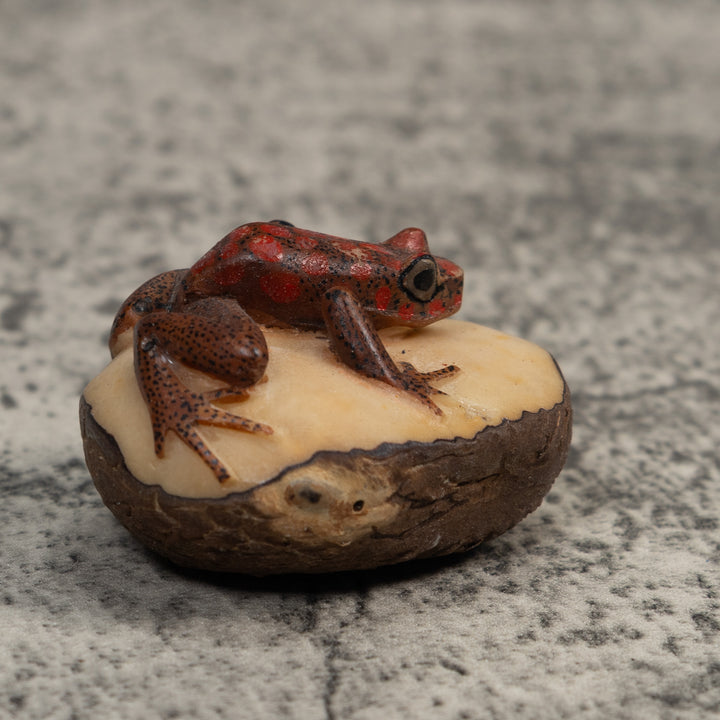 Red And Black Poison Dart Frog Tagua Carving