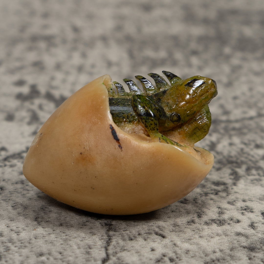 Vintage Iguana Emerging Egg Tagua Carving